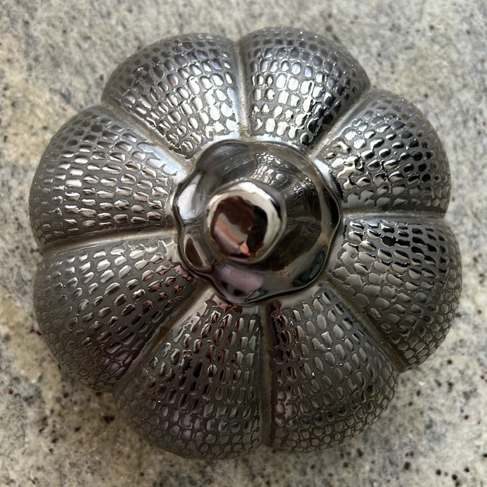 Silver Pumpkin Decor